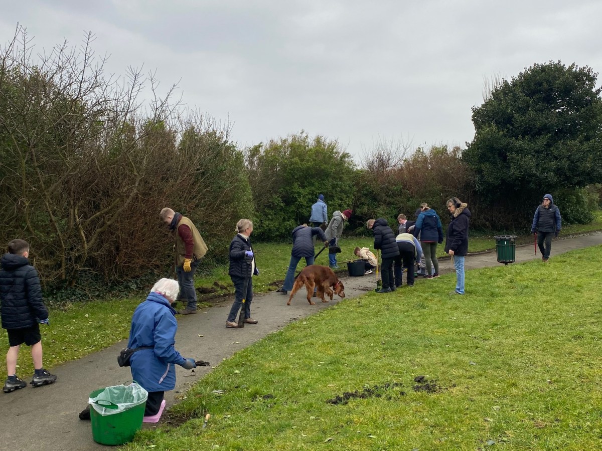 Celebrating Student Volunteering Week: Young Volunteers Make a Difference in Waterloo Seafront&nbsp;Gardens